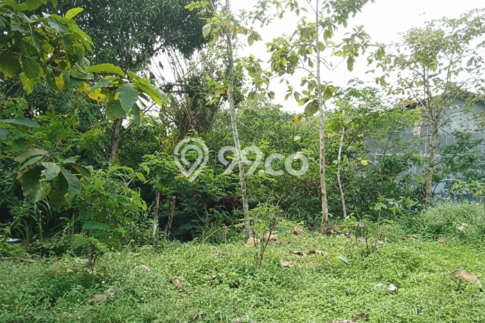 Kavling Tanah Dijual di Srumbung Magelang Spesifikasi 868m2 Kavling Tanah Dijual di Srumbung Magelang Spesifikasi 868m2