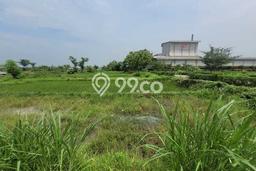 Tanah Dijual Lokasi Kutorejo, Mojokerto Luas 2310m2 Legalitas Aman Tanah Dijual Lokasi Kutorejo, Mojokerto Luas 2310m2 Legalitas Aman