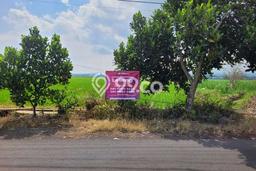 Tanah Dijual Lokasi Pakisaji Malang SHM Tanah Dijual Lokasi Pakisaji Malang SHM