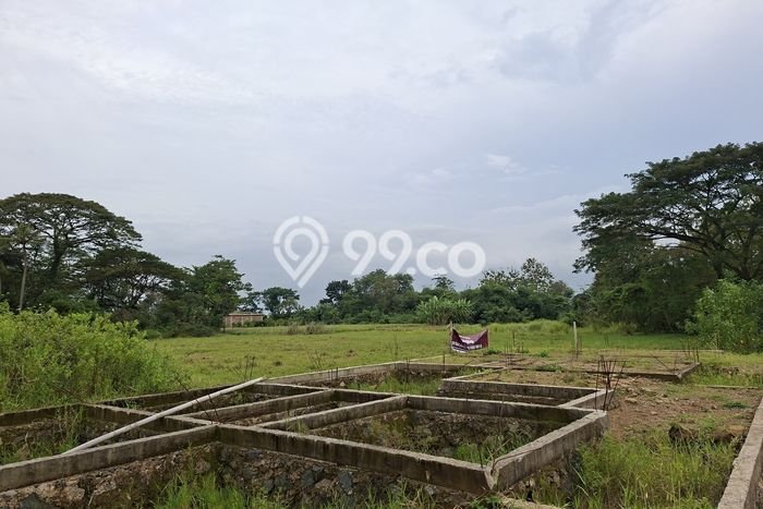 Lahan Investasi Lokasi Mundu Cirebon SHM Lahan Investasi Lokasi Mundu Cirebon SHM