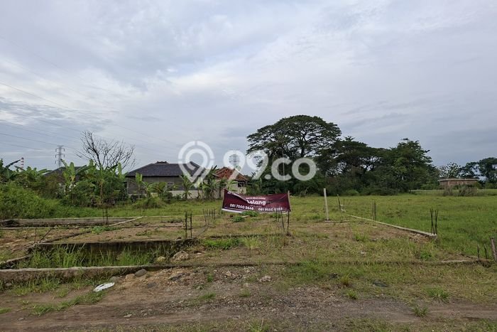 Lahan Investasi Lokasi Mundu Cirebon SHM Lahan Investasi Lokasi Mundu Cirebon SHM