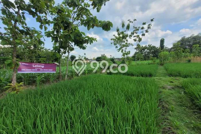 Tanah Kavling untuk Dijual di Senori Tuban 2096m2 Tanah Kavling untuk Dijual di Senori Tuban 2096m2