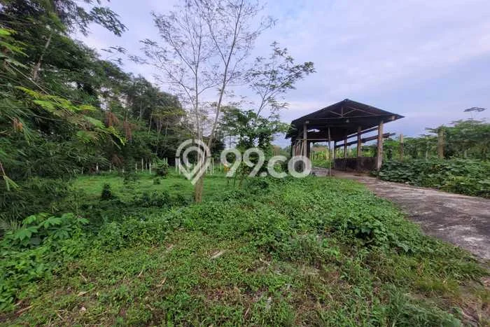 Tanah Dijual Lokasi Srumbung, Magelang Luas 2105m2 Legalitas Aman Tanah Dijual Lokasi Srumbung, Magelang Luas 2105m2 Legalitas Aman