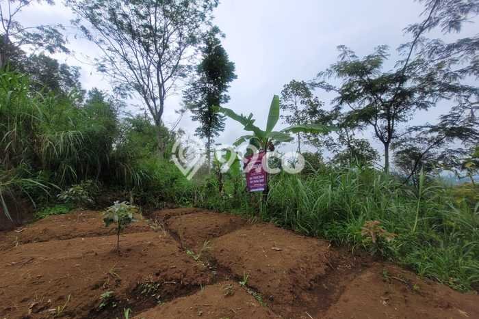Lahan untuk Dijual di Junrejo Batu Luas 1565m2 Lahan untuk Dijual di Junrejo Batu Luas 1565m2