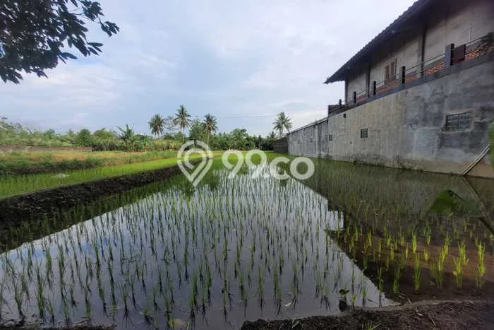 Tanah Kavling di Srumbung Dijual dengan Luas 1780m2 Tanah Kavling di Srumbung Dijual dengan Luas 1780m2