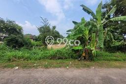 Kavling Tanah di Kutorejo Dijual Luas 6180m2 Legalitas SHM Kavling Tanah di Kutorejo Dijual Luas 6180m2 Legalitas SHM