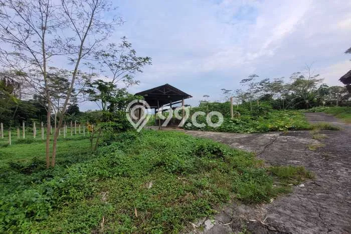 Tanah Dijual Lokasi Srumbung, Magelang Luas 2105m2 Legalitas Aman Tanah Dijual Lokasi Srumbung, Magelang Luas 2105m2 Legalitas Aman