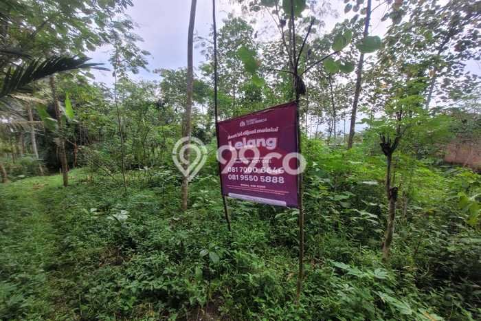 Kavling Tanah Dijual di Kepanjen Malang Spesifikasi 1509m2 Kavling Tanah Dijual di Kepanjen Malang Spesifikasi 1509m2