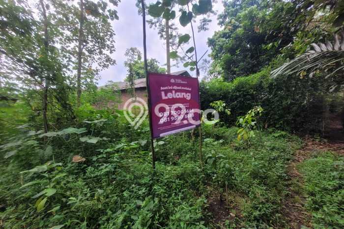 Kavling Tanah Dijual di Kepanjen Malang Spesifikasi 1509m2 Kavling Tanah Dijual di Kepanjen Malang Spesifikasi 1509m2