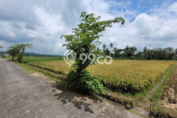 Tanah Dijual Lokasi Pagelaran, Malang Luas 1543m2 Legalitas Aman Tanah Dijual Lokasi Pagelaran, Malang Luas 1543m2 Legalitas Aman