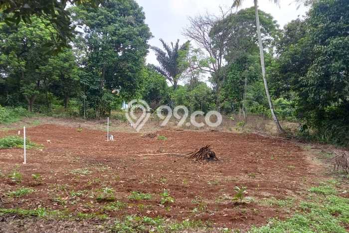 Jarang Ada! Tanah di Cileungsi Punya Luas 250m2 SHM Jarang Ada! Tanah di Cileungsi Punya Luas 250m2 SHM