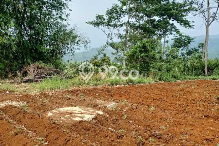 Jarang Ada! Tanah di Cianjur Punya Luas 3300m2 SHM Jarang Ada! Tanah di Cianjur Punya Luas 3300m2 SHM