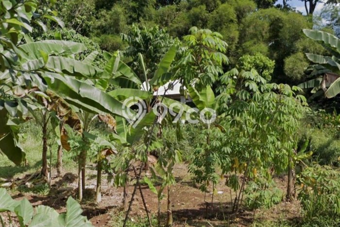 Lahan Kosong Dijual di Gunung Sindur, Bogor, Luas 1179m2 Area Strategis Lahan Kosong Dijual di Gunung Sindur, Bogor, Luas 1179m2 Area Strategis