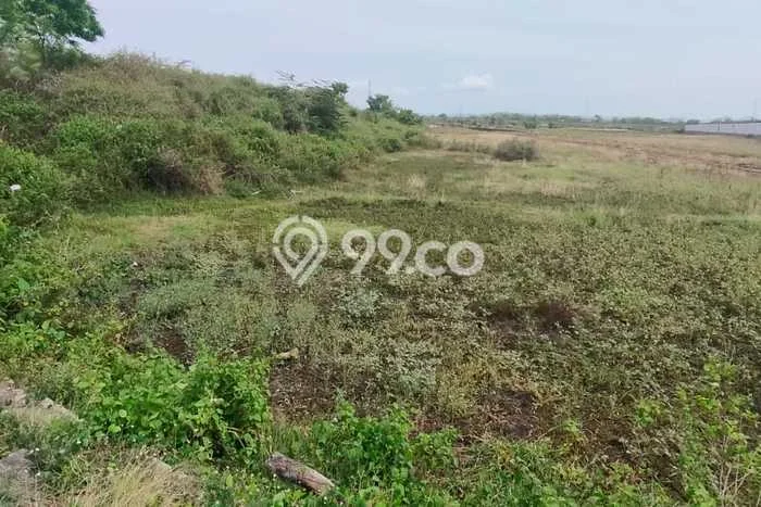 Kavling Tanah di Nganjuk Dijual Luas 295m2 Legalitas SHM Kavling Tanah di Nganjuk Dijual Luas 295m2 Legalitas SHM