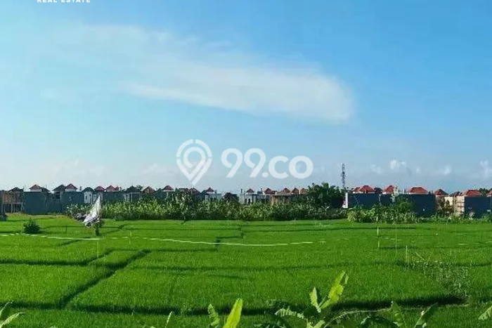 Dijual Hunian Rumah Terawat 2 Kamar di Kesiman, Denpasar Dijual Hunian Rumah Terawat 2 Kamar di Kesiman, Denpasar