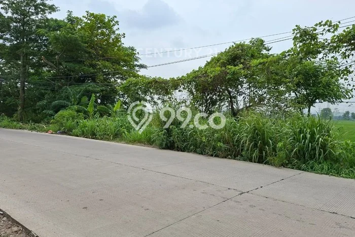 Lahan Investasi Lokasi Karangwareng Cirebon SHM Lahan Investasi Lokasi Karangwareng Cirebon SHM