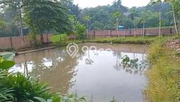 Kavling Tanah Dijual di Sedong Cirebon Spesifikasi 5916m2 Kavling Tanah Dijual di Sedong Cirebon Spesifikasi 5916m2