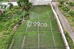 Tanah di Lowokwaru, Malang Luas 883m2 Dijual Segera Tanah di Lowokwaru, Malang Luas 883m2 Dijual Segera