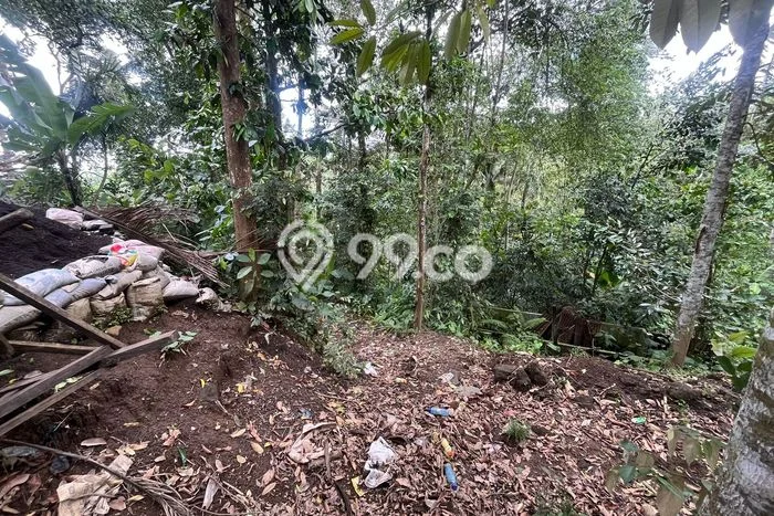 Tanah Disewa di Kelusa Strategis dan Memiliki Luas 700m2 Tanah Disewa di Kelusa Strategis dan Memiliki Luas 700m2