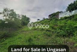 Untuk Dijual Tanah 1000m2 di Ungasan, Badung Untuk Dijual Tanah 1000m2 di Ungasan, Badung