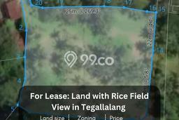 Tanah Kavling untuk Disewa di Tegallalang Gianyar 4800m2 Tanah Kavling untuk Disewa di Tegallalang Gianyar 4800m2