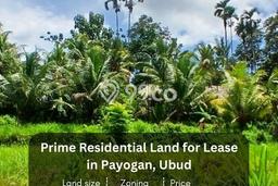 Paling Dicari! Lahan Kosong Disewakan di Ubud, Gianyar Paling Dicari! Lahan Kosong Disewakan di Ubud, Gianyar