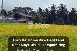 Lahan Dijual Lokasi Tampaksiring, Gianyar dengan Luas Tanah 3700m2 dan Status SHM Lahan Dijual Lokasi Tampaksiring, Gianyar dengan Luas Tanah 3700m2 dan Status SHM
