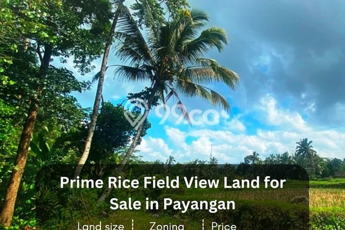 Untuk Dijual Tanah di Payangan Gianyar Luas 1385m2 SHM Untuk Dijual Tanah di Payangan Gianyar Luas 1385m2 SHM
