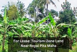 Tanah Kavling untuk Disewa di Payangan Gianyar 2420m2 Tanah Kavling untuk Disewa di Payangan Gianyar 2420m2