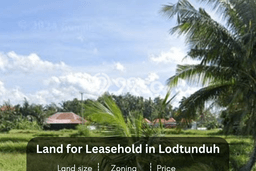 Dijual Tanah di Gianyar, Luas 3500m2 Hak Sewa Dijual Tanah di Gianyar, Luas 3500m2 Hak Sewa