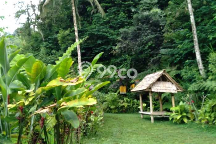 Dijual Tanah di Payangan Gianyar Luas 12500m2 - Dijual Tanah di Payangan Gianyar Luas 12500m2 -