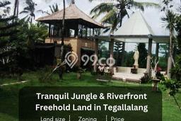 Dijual Tanah di Tegallalang Gianyar Luas 43600m2 SHM Dijual Tanah di Tegallalang Gianyar Luas 43600m2 SHM