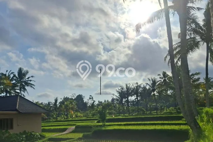 Lahan Kosong Disewakan di Ubud, Gianyar, Luas 1100m2 Lahan Kosong Disewakan di Ubud, Gianyar, Luas 1100m2