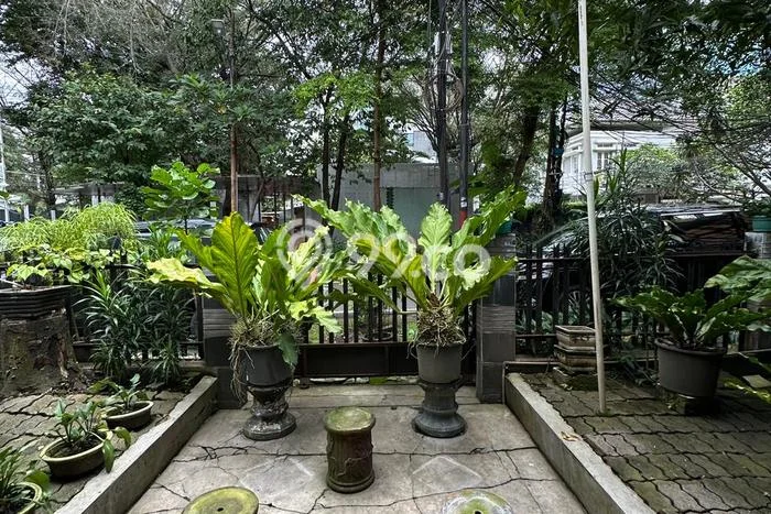 Rumah Mewah Siap Huni LT 252m2 di Menteng, Jakarta Pusat Rumah Mewah Siap Huni LT 252m2 di Menteng, Jakarta Pusat