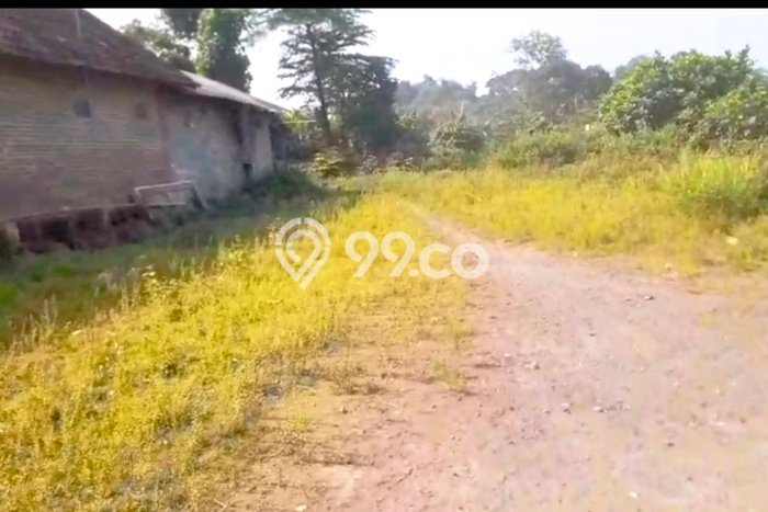 Tanah untuk Dijual Lokasi Pare, Kediri Luas 1977m2 SHM Tanah untuk Dijual Lokasi Pare, Kediri Luas 1977m2 SHM