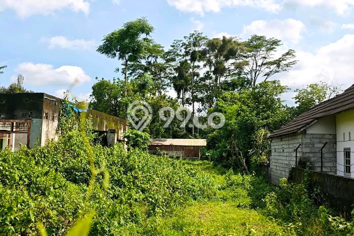 Lahan Investasi Lokasi Ngancar Kediri SHM Lahan Investasi Lokasi Ngancar Kediri SHM