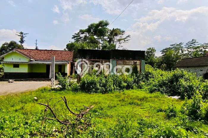 Lahan Investasi Lokasi Ngancar Kediri SHM Lahan Investasi Lokasi Ngancar Kediri SHM