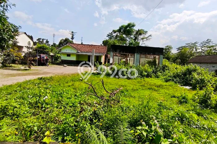 Lahan Investasi Lokasi Ngancar Kediri SHM Lahan Investasi Lokasi Ngancar Kediri SHM