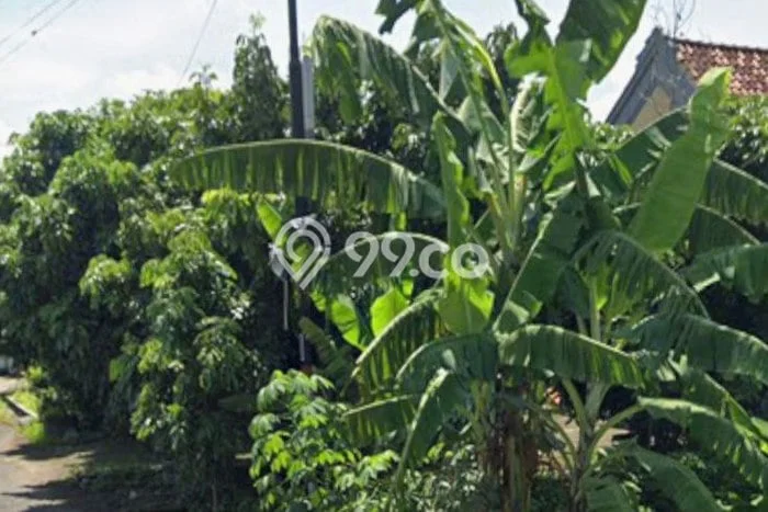 Tanah Kavling di Pare Dijual dengan Luas 657m2 Tanah Kavling di Pare Dijual dengan Luas 657m2