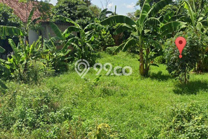 Tanah Kavling di Pare Dijual dengan Luas 657m2 Tanah Kavling di Pare Dijual dengan Luas 657m2