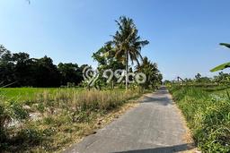 Lahan Strategis di Ngemplak Dijual dengan Luas 1695m2 Lahan Strategis di Ngemplak Dijual dengan Luas 1695m2