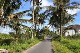 Kavling Tanah Dijual di Ngemplak, Sleman, Luas 1800m2 Area Strategis Kavling Tanah Dijual di Ngemplak, Sleman, Luas 1800m2 Area Strategis