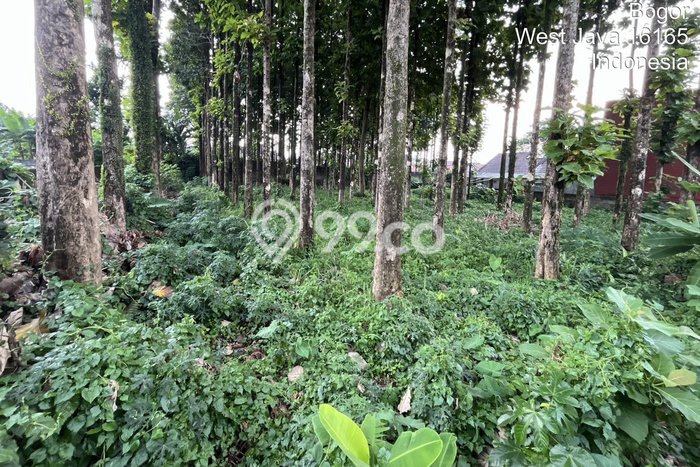 Lahan Dijual Lokasi Strategis di Bogor dengan Luas 3000m2 Lahan Dijual Lokasi Strategis di Bogor dengan Luas 3000m2