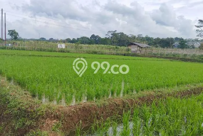 Tanah Dijual Lokasi Subang, Subang Luas 4656m2 Legalitas Aman Tanah Dijual Lokasi Subang, Subang Luas 4656m2 Legalitas Aman