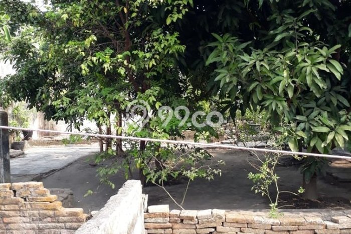 Dijual Rumah 3 Kamar Lokasi Ideal Bagus dan Strategis di Mantrijeron Dijual Rumah 3 Kamar Lokasi Ideal Bagus dan Strategis di Mantrijeron
