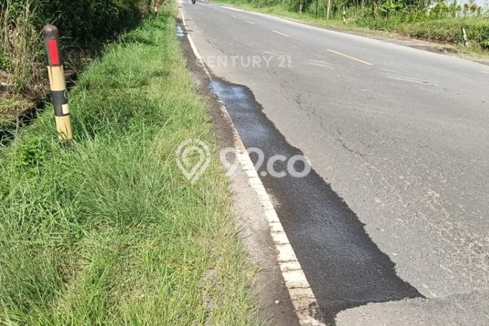Jarang Ada! Tanah di Panimbang Punya Luas 14000m2 SHM Jarang Ada! Tanah di Panimbang Punya Luas 14000m2 SHM