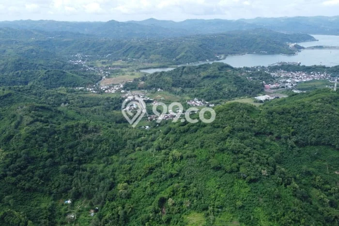 Kavling Tanah di Lembar Dijual Luas 113400m2 Legalitas SHM Kavling Tanah di Lembar Dijual Luas 113400m2 Legalitas SHM