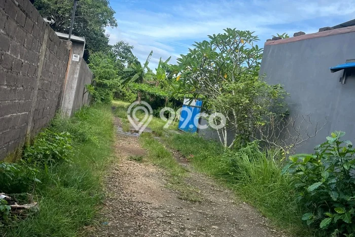 Tanah Investasi Dijual di Badung Punya Luas 210m2 Tanah Investasi Dijual di Badung Punya Luas 210m2