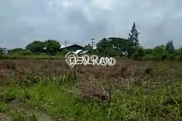 Tanah Kavling di Widang Dijual dengan Luas 40000m2 Tanah Kavling di Widang Dijual dengan Luas 40000m2