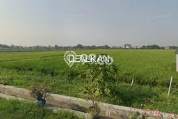 Tanah di Krian, Sidoarjo Luas 5846m2 Dijual Segera Tanah di Krian, Sidoarjo Luas 5846m2 Dijual Segera